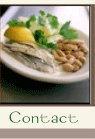 Bocca Catering :: Contact